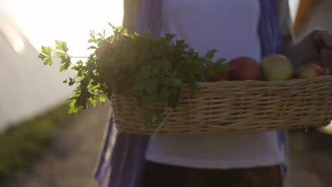 Close-up-of-a-basket-full-of-vegetable-and-plants-carried-by-an-unrecognizable-woman-outdoors