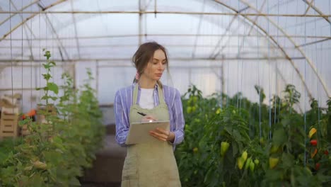 Portrait-of-young-woman-farmer-in-indoor-greenhouse,-accounting-using-tablet