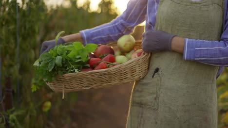 Mujer-Sosteniendo-Una-Cesta-Con-Verduras-Frescas-Cosechadas-En-El-Invernadero