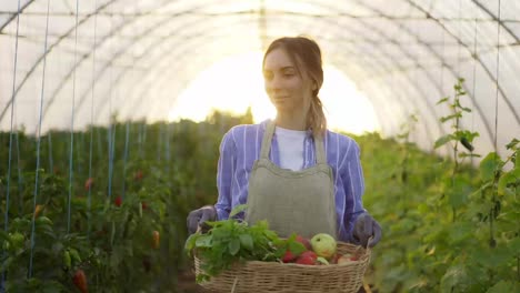 Smiling-woman-holding-basket-with-fresh-harvested-vegetables,-walking-by-greenhouse