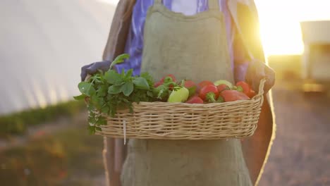 Close-up-of-a-basket-full-of-vegetable-and-plants-carried-by-an-unrecognizable-woman