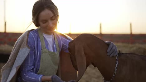 Young-blonde-woman-strokes-and-feed-from-hands-cute-yeanling-on-local-farm