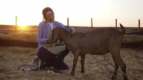 Happy-woman-feed-from-hands-cute-goat-on-local-farm