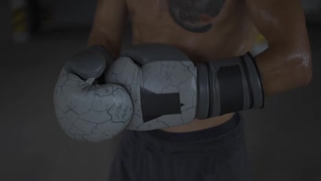 Boxer-Mit-Nacktem-Oberkörper-Und-Boxhandschuhen