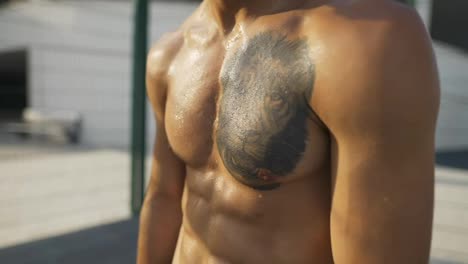 Sweat-body-with-lion-tattoo,-fit-cross-concept