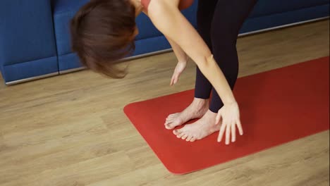 Woman-is-doing-yoga-on-mat---performing-plank-pose