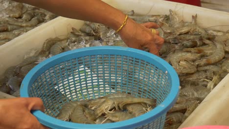 Cliente-Que-Compra-Camarones-Muertos-En-Un-Cubo-De-Hielo-En-El-Mercado-De-Pescado-Callejero-Asiático-De-Tailandia