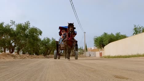 Tourists-in-Tunisia-enjoy-carriage-ride-guided-by-harnessed-horse