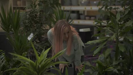 Woman-choosing-plants-at-flower-market-in-garden-shop