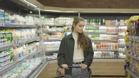 Un-Retrato-De-Una-Mujer-En-Un-Supermercado-Empujando-Un-Carrito