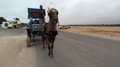 Reverse-tracking-shot-of-harnessed-horse-pulling-carriage-with-tourists-for-tour-through-Djerba-roads-in-Tunisia