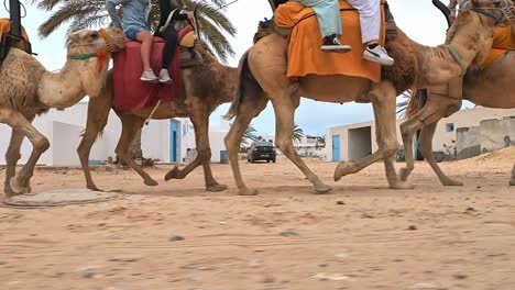 Group-of-tourists-enjoying-caravan-tour-riding-dromedary-camels-in-Tunisia,-Side-shot-slow-motion