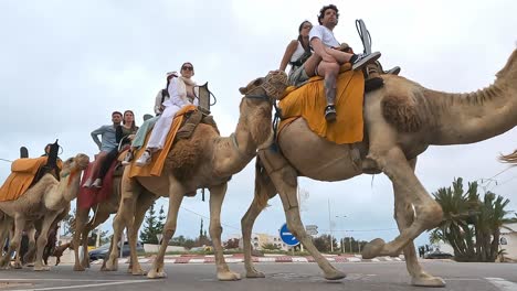 Group-of-tourists-enjoying-caravan-tour-riding-dromedary-camels-across-Djerba-streets-in-Tunisia,-low-angle