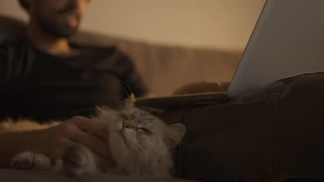 Mann-Benutzt-Laptop,-Während-Er-Mit-Einer-Katze-Auf-Der-Couch-Sitzt