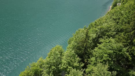 Calm-ripples-in-Klontalersee-lake-adorned-with-Alpine-tree-shoreline