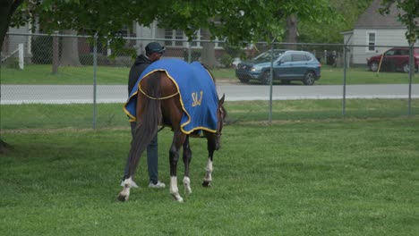 trainer-holding-horse-in-the-grass-at-Churchill-Downs