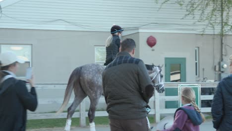 Tapit-Thrice-Derby-Horse-Morning-Workouts-Before-Kentucky-Derby