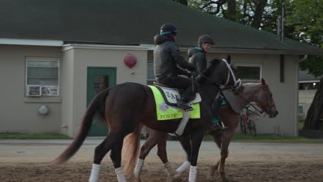 Kentucky-Derby-Horse-Forte-warming-up
