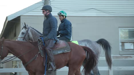 Derby-Horse-Rocket-Can-walking-at-Churchill-Downs