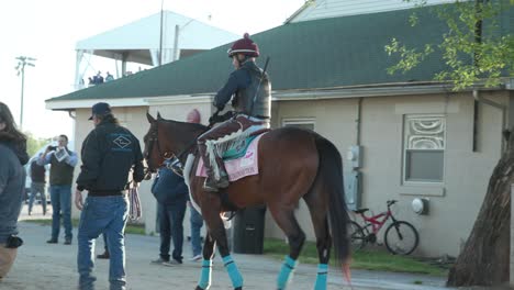 Kentucky-Oaks-horse-flying-connections-working-out-in-the-early-morning-at-Churchill-Downs