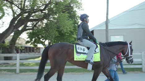 Kingsbarn-horse-at-derby-morning-workouts