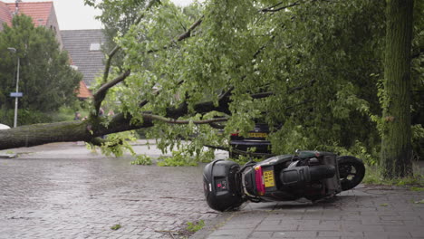 Bäume-Und-Motorroller-Fielen-Bei-Schwerem-Sturm-In-Haarlem,-Niederlande