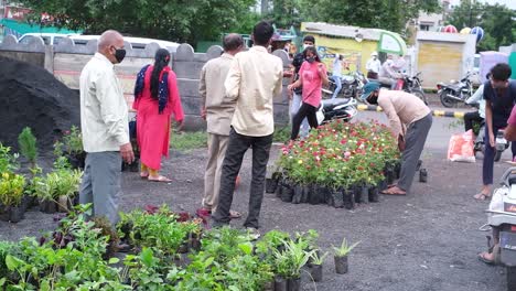 wide-angle-view-which-a-large-number-of-flower-and-tree-saplings-are-being-distributed-during-the-monsoon-season,-which-are-being-thronged-to-collect-them-for-kitchen-garden-and-home-garden
