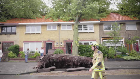 Bäume-Fielen-Bei-Schwerem-Sturm-In-Den-Niederlanden-Auf-Häuser