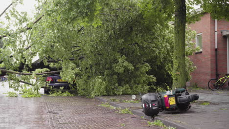 Trees-and-fallen-scooter-during-heavy-storm-in-the-Netherlands