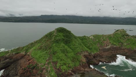 Flock-Of-Birds-Flying-Over-Rocky-Island-Costa-Rica