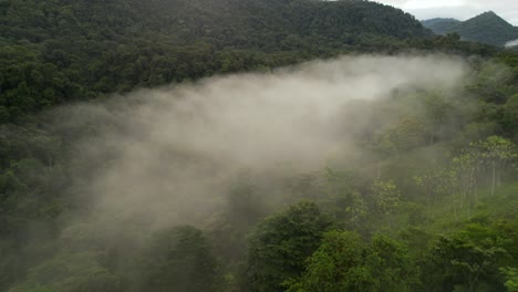 Drone-Flying-Through-Fog-Cloud-Jungle-Mountains-Costa-Rica