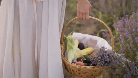 Rear-view-of-a-woman-in-dress-holding-basket-with-some-food-and-lavender-flowers-and-walking-through-a-lavender-field