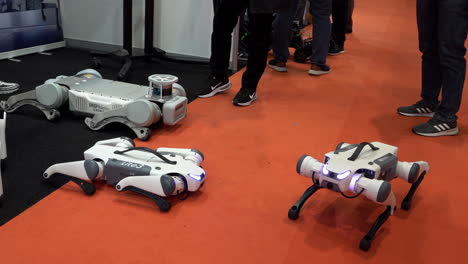 A-quadruped-dog-robot-performs-a-summersault-at-the-IEEE-Robotics-and-Automation-Society-Conference-at-the-Excel-Centre
