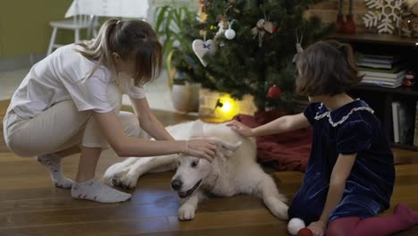 Mother-and-daughter-stroking-golden-retriever-dog-on-the-floor-under-decorated-new-year-tree