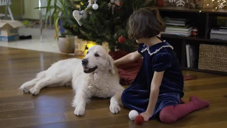 Girl-playing-with-happy-golden-retriever-on-the-background-of-Christmas-tree