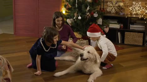 Three-kids-stroking-golden-retriever-dog-and-laughing-on-the-floor-under-decorated-new-year-tree,-slow-motion