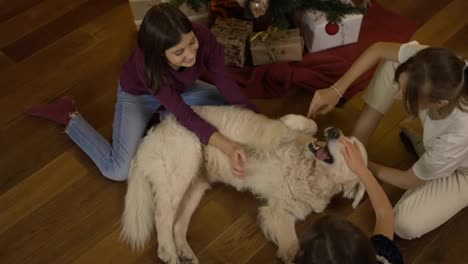 Three-kids-and-mom-stroking-and-tickling-golden-retriever-on-the-floor-under-decorated-new-year-tree,-high-angle-footage