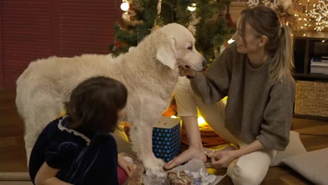 Mother-and-daughter-stroking-dog-together-in-the-New-Year's-interior