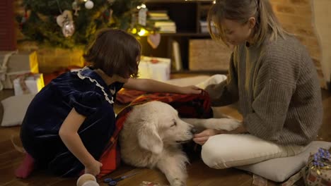 Mother-and-daughter-stroking-and-playing-with-golden-retriever-on-the-floor
