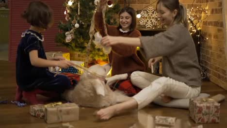 Mother-and-daughters-playing-with-golden-retriever-on-the-floor-on-christmas-eve,-slow-motion