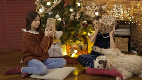 Two-excited-children-shaking-gift-box-under-Christmas-Tree-with-their-golden-retriever-dog