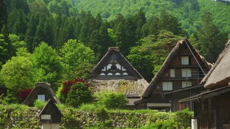 Scenic-View-Of-Traditional-Gassho-Zukuri-Thatched-Village-Homes-In-Shirakawago-Surrounded-By-Lush-Green-Foliage-Trees