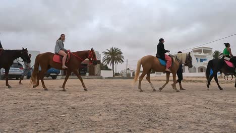 Horseback-riding-tour-with-horses-and-dromedaries-in-Tunisia