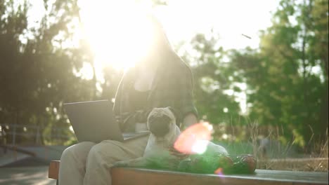 A-woman-with-a-laptop-sits-on-parapet-in-a-skate-park-with-her-dog-pug.-Lens-flares-on-background