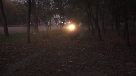 A-man-on-a-motorcycle-rides-among-the-trees-with-the-headlight-on-in-dusk