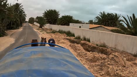 Blick-Aus-Der-Vogelperspektive-Auf-Eine-Pferdekutsche-Mit-Zwei-Personen-Entlang-Der-Straßen-Von-Djerba-In-Tunesien