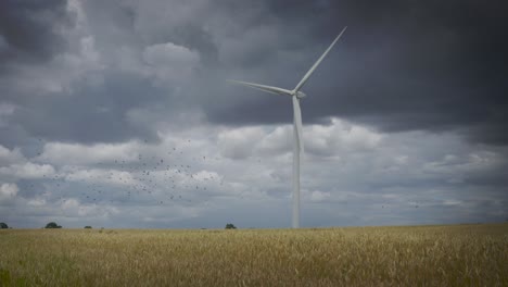A-large-wind-turbine-in-a-field-of-barley