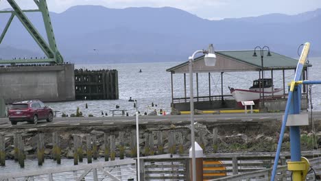 Dock-and-large-bridge-span