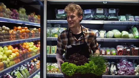 Happy-face-seller-man-in-supermarket-walking-by-vegetables-aisle-with-box-of-fresh-greens-to-arrange.-Caucasian-worker-in-local-supermarket