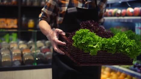 Seller-man-in-apron-in-supermarket-walking-by-vegetables-aisle-with-box-of-fresh-greens-to-arrange.-Caucasian-worker-in-local-supermarket-holding-box-of-greens.-Close-up